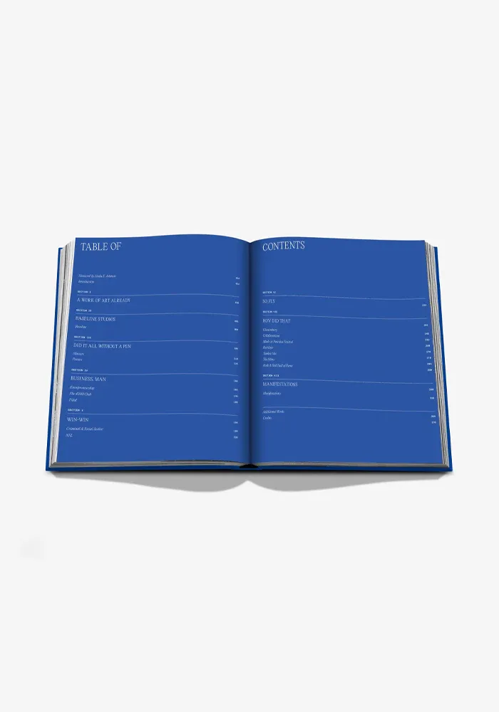 Livre The Book Of Hov A Tribute To Jay Z – Image 3